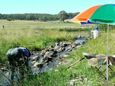 Fossicking for sapphire on the Reddestone Creek at Glen Innes