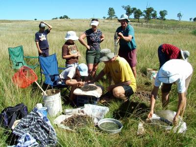 Keen fossickers looking for sapphire on the Reddestone Creek, Glen Innes