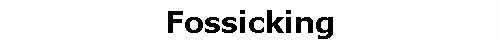 Fossicking