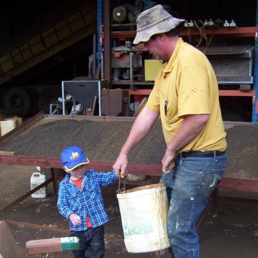 Collecting concentrate from the drying tables.
